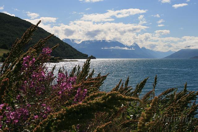 Norwegia (389).JPG - Norwegia północna